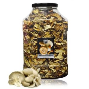 Borde Oyster Dried Mushrooms