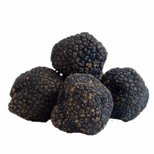 Urbani Black Summer Whole Truffles Extra Jars