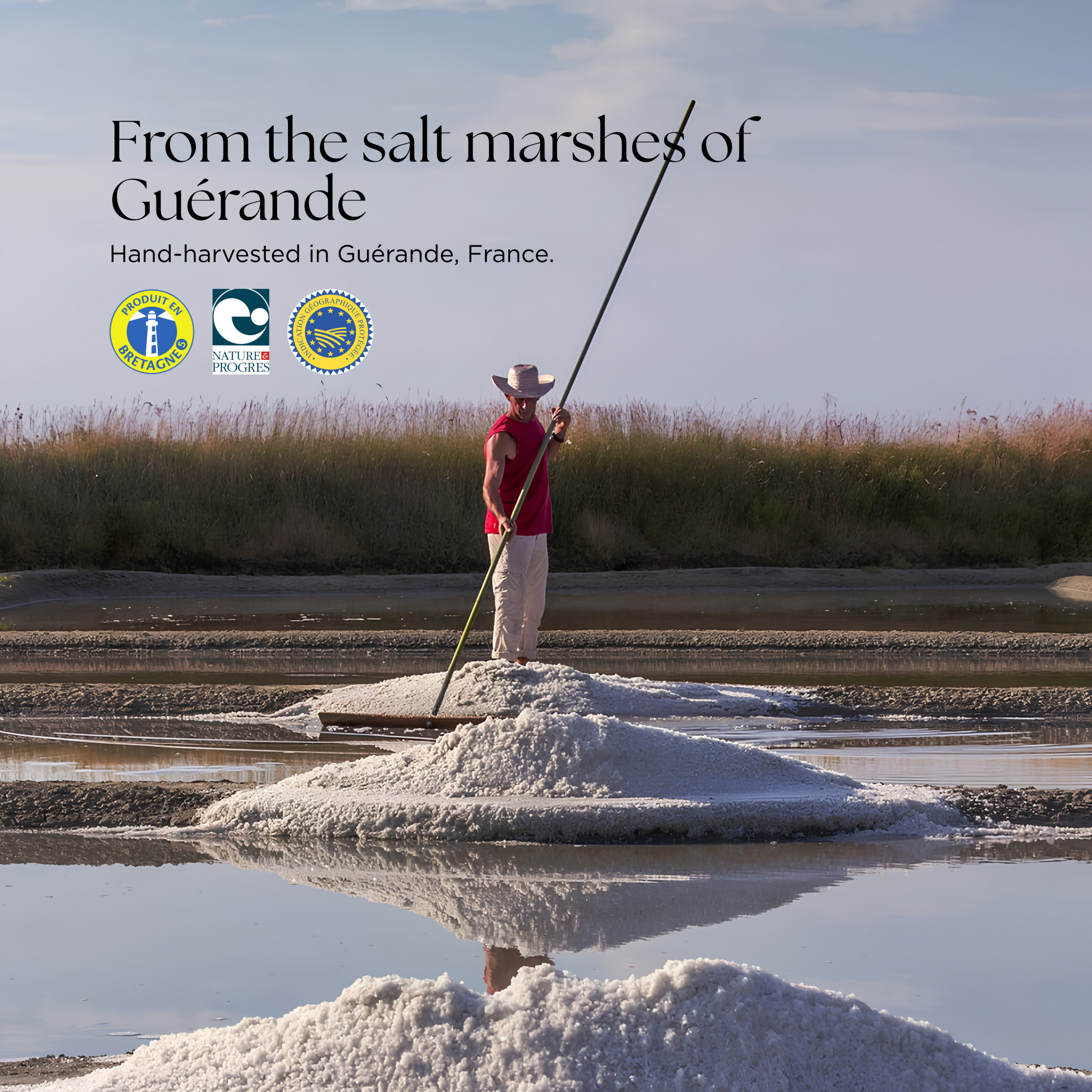 Le Guérandais Gros Sel Séché de Guérande, French Coarse Sea, 500g - Image 4
