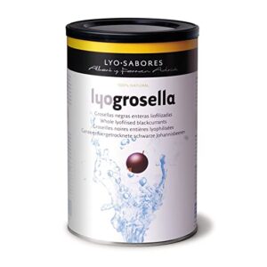 Texturas Lyo Grosella (Blackcurrent)150g